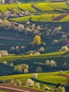 Green spring rural hills landscape, flowering cherries and fruit trees. Slovakia, Polana, Hrinova, Detva. Royalty Free Stock Photo