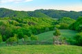Green spring rural landscape. Fence on spring farm field, green hills and woods in background