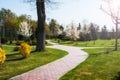 Green spring city park with road and beautiful trees alley