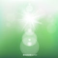 Green spring sunshine light background