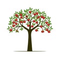 Green Spring Tree with Leaves and red apple fruits. Vector Illus