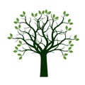 Green Spring Tree with Leaves. Vector Illustration.