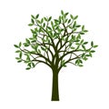 Green Spring Tree. Vector Illustration. Royalty Free Stock Photo