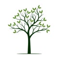 Green Spring Tree. Vector Illustration. Royalty Free Stock Photo