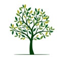 Green Spring Tree. Vector Illustration. Royalty Free Stock Photo