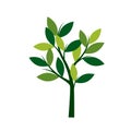 Green Spring Tree. Vector Illustration. Royalty Free Stock Photo