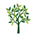 Green Spring Tree. Vector Illustration. Royalty Free Stock Photo