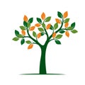 Green Spring Tree. Vector Illustration. Royalty Free Stock Photo