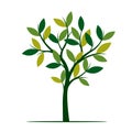 Green Spring Tree. Vector Illustration. Royalty Free Stock Photo
