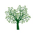 Green Spring Tree. Vector Illustration. Royalty Free Stock Photo