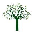 Green Spring Tree. Vector Illustration. Royalty Free Stock Photo