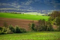 Green spring  Trees, meadows and agricultural fields. Edit space Royalty Free Stock Photo