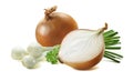 Green spring yellow onion scallion parsley 2 white back