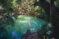 Green Springs in tropical Deltona, Florida Royalty Free Stock Photo