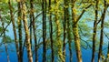 Green springtime trees with a vibrant blue river behind