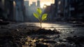 A green sprout against a blurred cityscape. The concept of nature, the struggle for life in a polluted environment