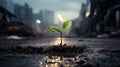 A green sprout against a blurred cityscape. The concept of nature, the struggle for life in a polluted environment Royalty Free Stock Photo