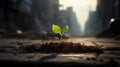 A green sprout against a blurred cityscape. A small plant Royalty Free Stock Photo