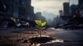 A green sprout against a blurred cityscape. A small plant Royalty Free Stock Photo