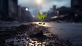 A green sprout against a blurred cityscape. A small plant Royalty Free Stock Photo