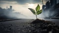 A green sprout against a blurred cityscape. A small plant growing against the background of buildings or factories