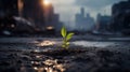 A green sprout against a blurred cityscape. A small plant growing against the background of buildings or factories