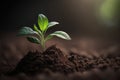 Green sprout emerging from dark soil, growing towards the light of the sun, with a blurred background creating a concept