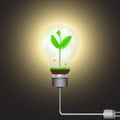 Green sprout with globe in shining light bulb connected to electrical plug, alternative green energy environmental concept Royalty Free Stock Photo