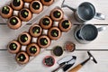 Green sprout growing out from soil in eggshells on table in the garden Royalty Free Stock Photo