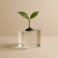 Green Sprout Growing from Soil on Circuit Cube: Nature Meets Technology Royalty Free Stock Photo