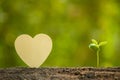 Green sprout growing in soil and wooden heart symbol on outdoor sunlight and green blur background. Love tree, Save world, or Royalty Free Stock Photo