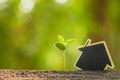 Green sprout growing in soil and wooden house symbol on outdoor sunlight and green blur background. Love tree, Save world, or Royalty Free Stock Photo