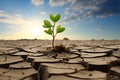 A green sprout grows out of landscape of cracked dry soil. Climate change