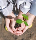 A green sprout in the hands of a child and an adult, a small plant in the palms of their hands. Royalty Free Stock Photo