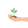 Green sprout in human hand on white background. Vector illustration