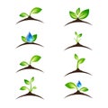 Green Sprout Icon or Logo Design Set Royalty Free Stock Photo