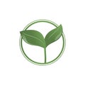 Green sprout with leaves in a circle. Vector icon, sign, symbol. Natural cosmetics, herbal ingredients.