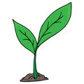 Green sprout with leaves grows in the ground. Vector illustration of a young plant in the ground Royalty Free Stock Photo