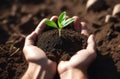 a green sprout in the palms, a handful of earth in the hands, Handholding tree sapling, planting plants, a young plant