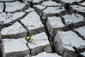 A green sprout sprouts from dry, cracked earth. Global warming concept. Royalty Free Stock Photo