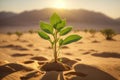 A green sprout of a tree grows alone in the desert. ai generative Royalty Free Stock Photo
