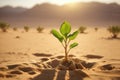 A green sprout of a tree grows alone in the desert. ai generative Royalty Free Stock Photo