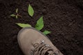 Green sprout under the boot, broken tree sprout, respect for nature concept, green peace ,the boot steps on a young plant on the g Royalty Free Stock Photo