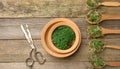 Green sprouts of chia, arugula and mustard in a wooden spoon on a gray background from old gray boards, top view. Useful Royalty Free Stock Photo