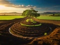 Soil regeneration concept. Large tree Royalty Free Stock Photo
