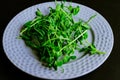 Green sprouts of peas on a plate. baby vegetables. Raw sprouts, microgreens, healthy eating concept