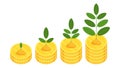 Green sprouts of plant on stacks of coins in ascending order. Royalty Free Stock Photo