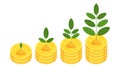 Green sprouts of plant on stacks of coins in ascending order.