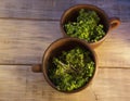 Green sprouts seeds in a brown ceramic cup 2 Royalty Free Stock Photo
