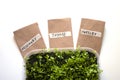 Green sprouts, seeds of herbals in paper bags, from above. Gardening conception. Close up